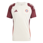 2024/2025 Bayern Munich White Jersey Training