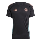 Bayern Munich 2024/2025 Training Jersey