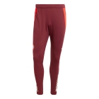 2024/2025 Red Bayern Munich Training Pants