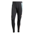 Bayern Munich Training Pants 2024/2025