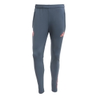 Bayern Munich Training Pants 2025/2026