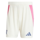 2024/2025 Juventus Away Shorts