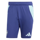 Short Training Arsenal 2024/2025