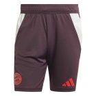 Short Training Bayern Munich 2024/2025