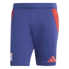 Lyon 2024/2025 Short Training