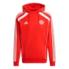 Bayern Munich Hoodie 2025/2026